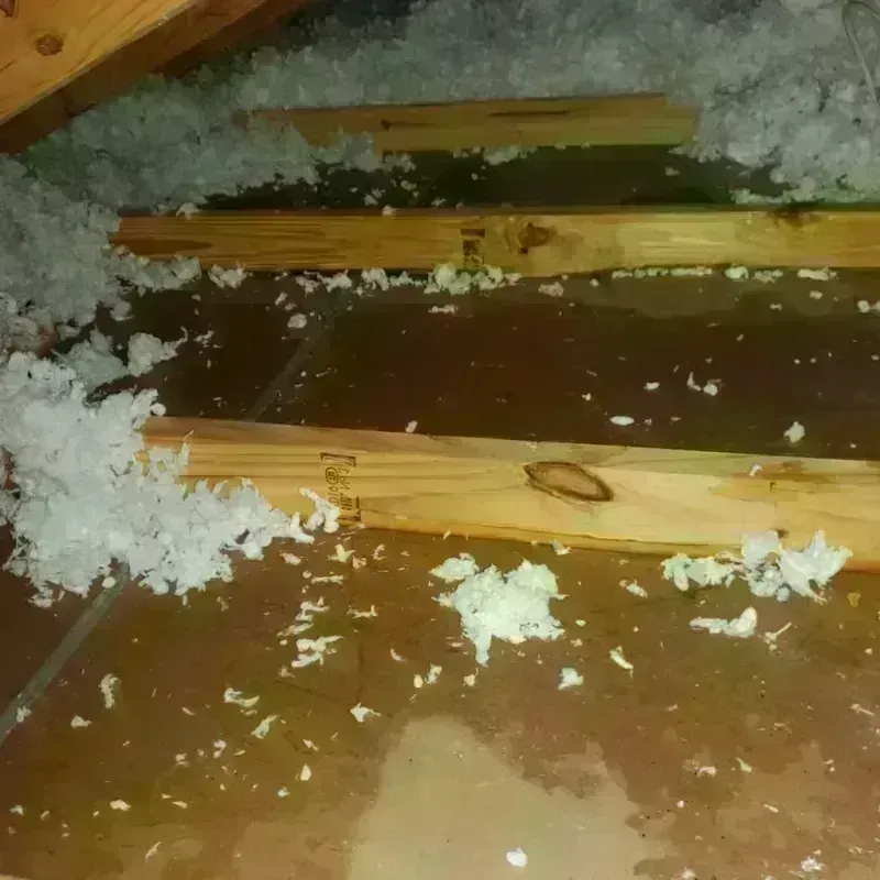 Attic Water Damage in De Soto Parish, LA